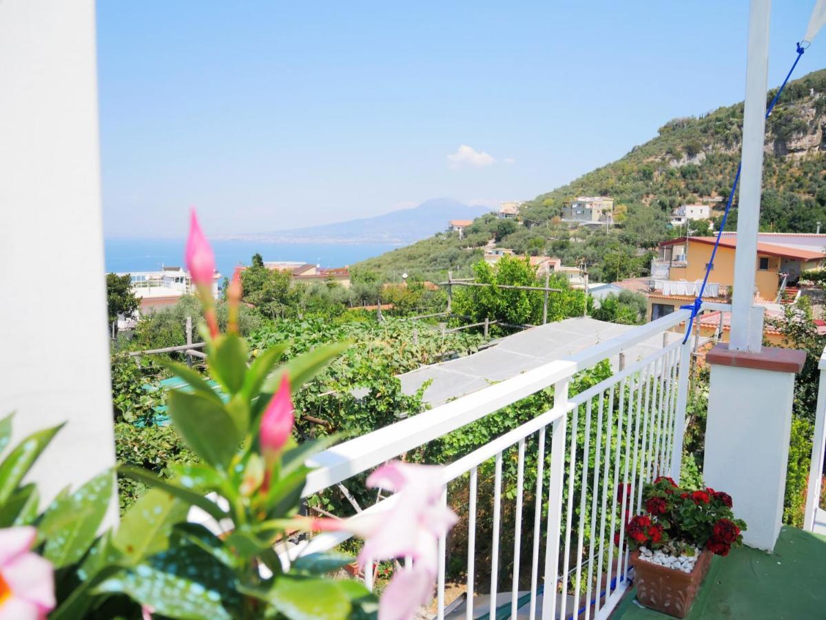 Olindo Apartment E Cristina Apartments Vico Equense Eksteriør billede